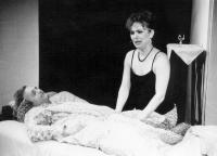 Horšovský Týn, MKZ, Postel pro hosty, 1993