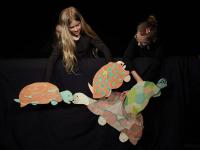 Horažďovice, ZUŠ, Mimoňové, Kareta jde za světlem, 2017