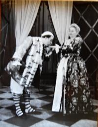 Třebíč, ZGK Borovina, Jeho urozenost pan Měšťák