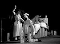 Ořechov u Brna, Tylovo divadlo Osvětové besedy, Nové Amazonky, 1988