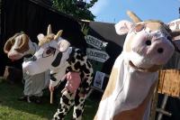 Olešnice, o. Semily, Jirásek,  Kravská opera