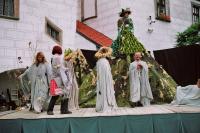 Jindřichův Hradec, Jindřichohradecká činohra, Tvrdohlavá žena, 2004