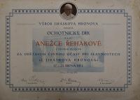 Nový Bydžov, Jirásek, Korespondence souboru