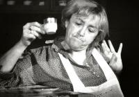 Jihlava, De Facto Mimo, Drahoušek Anna, CP Jiráskův Hronov 2002