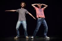 Havířov, ZUŠ B. Martinů, Krátké vyprávění o Albertu Kyškovi a létacím snu, CP Dětská scéna Svitavy 2012