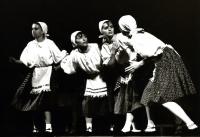 Bánovce nad Bebravou, Bánovské pokútné divadlo, V nebi sa čúrá stojáčky, CP Jiráskův Hronov 1995