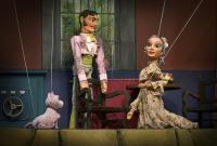 Plzeň, Divadlo Alfa, Pozor, Zorro. CP LCH 2020