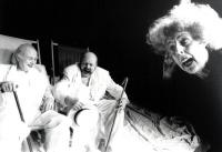 Düsseldorf, SeTa, Heine Shakespeare & Co., NP seniorského divadla Kroměříž 1998