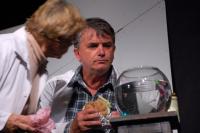 Jilemnice, Divadlo v Roztocké, Ztížená možnost soustředění, Femad Poděbrady 2023