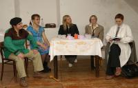 Havlíčkova Borová, Jen Tak, Pocta českým komikům, Svatomatrinské hodování, Divadelní Přibyslav 2006