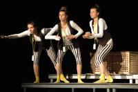 Olomouc, Divadlo na cucky, Tučňáci na arše, CP Popelka Rakovník 2017