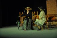 Havlíčkova Borová, Jen Tak, Charleyova teta, OP Divadelní Přibyslav, 2013