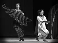 Norsko, Oslo, Te-Nord, Shabbana, JH 2010