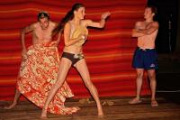 Brno, Napříč, Komáři útočí, 2008