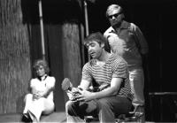 Bystřice u Benešova, DS SZK, Hadí ostrov, 1976