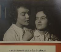 Lysá nad Labem, výstava DIVADLO JE PODIVUHODNÁ VĚC..., výstavní panel, 2018