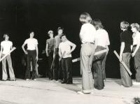 Olomouc, Žerotín LDO LŠU, Správná věc, WP 1978