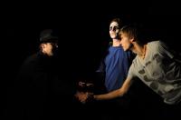 Jihlava, DS NUM, Kamenný člověk, 2011