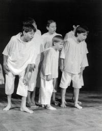 Ostrov, HOP-HOP, Obrazy ze života Acylpyrínků, CP FEMAD Libice n. Cidl. 1996