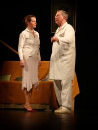 Terezín, T.M.A.,  Nájemnící pana Swana, 2008