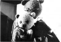 Jugoslávie, Dravlje Ljubljana, Ťupínek, LCH 1969