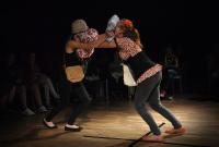 Jindřichův Hradec, ZUŠ V. Nováka, Atrakce, CP Dětská scéna Svitavy 2014