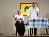 Heřmanův Městec, Heřman, Divná hloupost, 2017