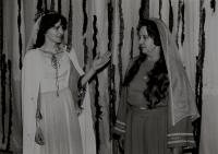 Brněnec, Vojan, Strakonický dudák, 1984