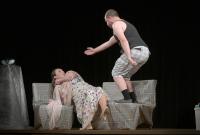 Desná, DS Vojan - Mladá haluz, Natěrač, JH 2020