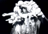 Česká Lípa, Jirásek, Odysseova cesta, CP Divadelní Třebíč 2001