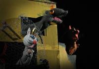 Vsetín, BUBU, kIub dětské kultury, O bílé kočičí princezně, CP Dětská scéna, Svitavy 2017