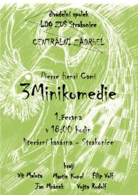 Strakonice, Centrální zádrhel - plakát, 2011