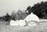 Praha-Vinohrady, DLS ÚDPM JF, Kalafousek, 1975