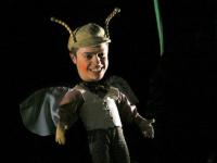 Vracov, DDM, Broučci, 2009