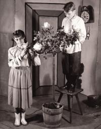 Hronov, MAJ, Sněhová královna, 1955