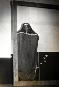 Veverské Knínice, TJ Sokol, Ze života hmyzu, 1996