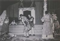 Lysá nad Labem, výstava DIVADLO JE PODIVUHODNÁ VĚC..., výstavní panel, 2018