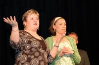 Bavory, Bavorské ochotnické divadlo, A vy jste kdo, Boleradická sešlost 2008