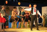 Žirovnice, Divadelní spolek, Růže z Argentíny, 2010