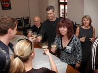 Třebíč, DT 2008, slavnostní vítání souborů