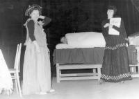 Horšovský Týn, MKZ, Hloupý Honza, 1982