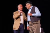 Vír, Vířina, Vše pro firmu, KP Mrštíkovo divadelní jaro, 2021