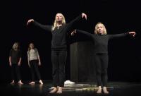 Pardubice, ZŠ Benešovo náměstí, Benešáčci, Jak se stalo, že vrána je černá, CP Dětská scéna Svitavy 2013