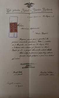 Starý Bydžov, Sokol, Žabec, 1919