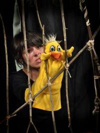 Jablonec nad Nisou, Vozichet, Zlaté kuře, LCH 2010